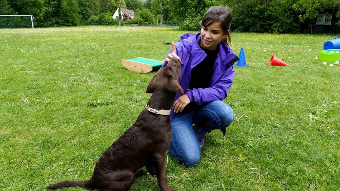 Anna und die Haustiere - Ein Tag in der Hundeschule - Kuvat elokuvasta - Annika Preil