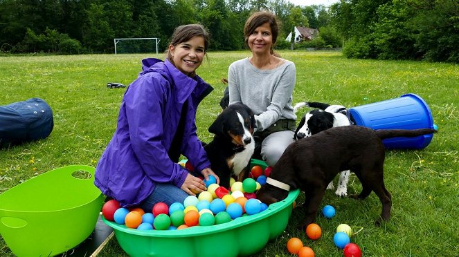Anna und die Haustiere - Ein Tag in der Hundeschule - Kuvat elokuvasta - Annika Preil