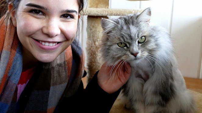 Anna und die Haustiere - Tierheimkatze - Filmfotók - Annika Preil