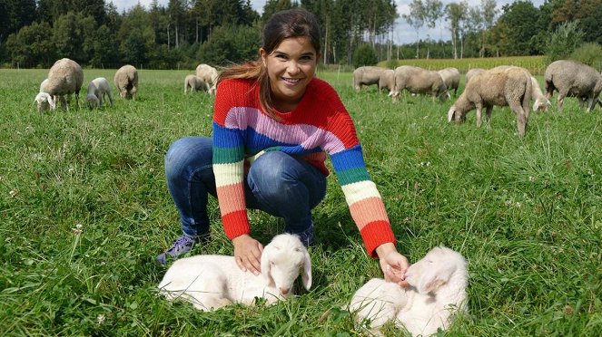 Anna und die Haustiere - Ein Tag bei der Schäferin - Z filmu - Annika Preil