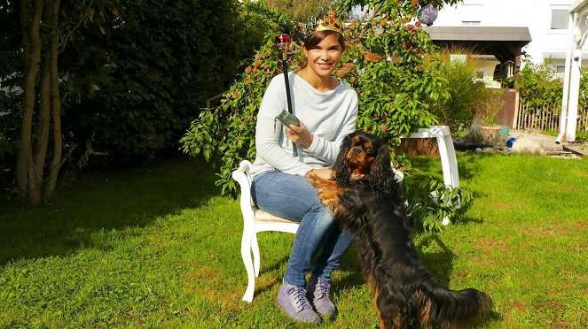 Anna und die Haustiere - Cavalier King Charles Spaniel - Photos - Annika Preil