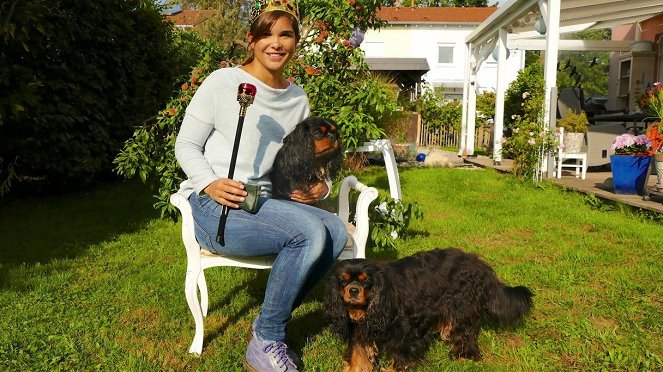 Anna und die Haustiere - Cavalier King Charles Spaniel - Photos - Annika Preil