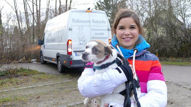 Anna und die Haustiere - Willkommen zu Hause, Streuner! - Filmfotók - Annika Preil