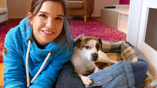 Anna und die Haustiere - Willkommen zu Hause, Streuner! - Filmfotók - Annika Preil