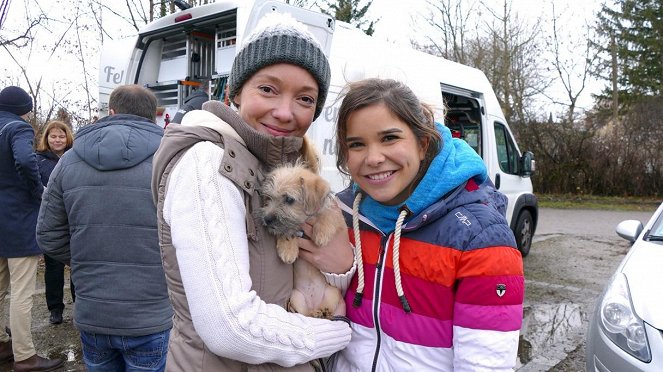 Anna und die Haustiere - Willkommen zu Hause, Streuner! - Filmfotók - Annika Preil