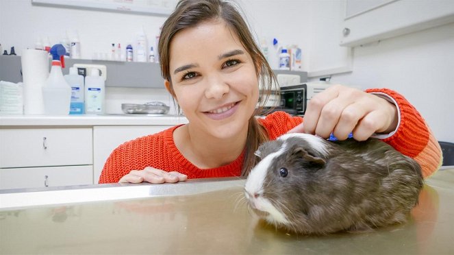 Anna und die Haustiere - Spezial: Ein Tag in der Tierarztpraxis - Filmfotos - Annika Preil