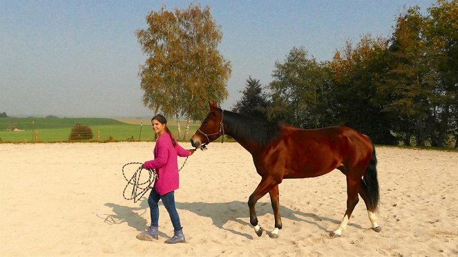 Anna und die Haustiere - Mit Pferden sprechen - Filmfotos - Annika Preil