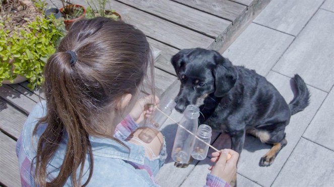 Anna und die Haustiere - Tierspielzeug selbstgemacht - Z filmu