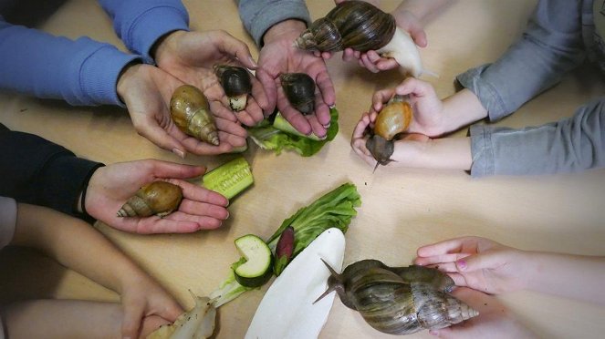 Anna und die Haustiere - Achatschnecke - Z filmu - Annika Preil