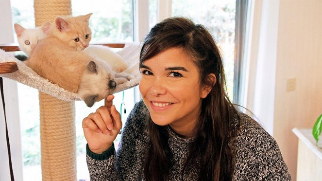 Anna und die Haustiere - Britisch Kurzhaar Katze - Z filmu - Annika Preil