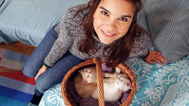 Anna und die Haustiere - Britisch Kurzhaar Katze - Filmfotók - Annika Preil