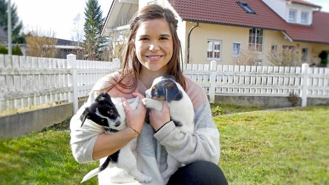 Anna und die Haustiere - Jack Russell Terrier - Z filmu - Annika Preil