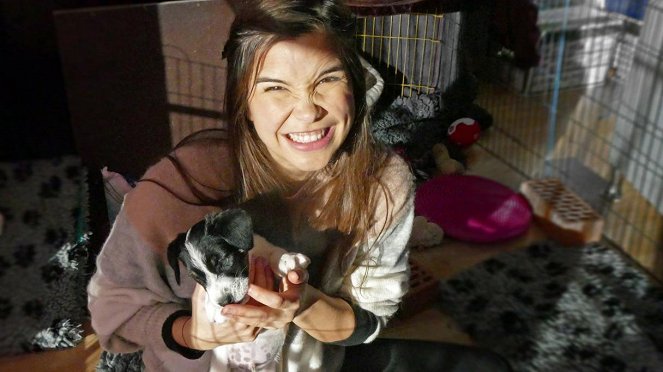 Anna und die Haustiere - Jack Russell Terrier - Van film - Annika Preil