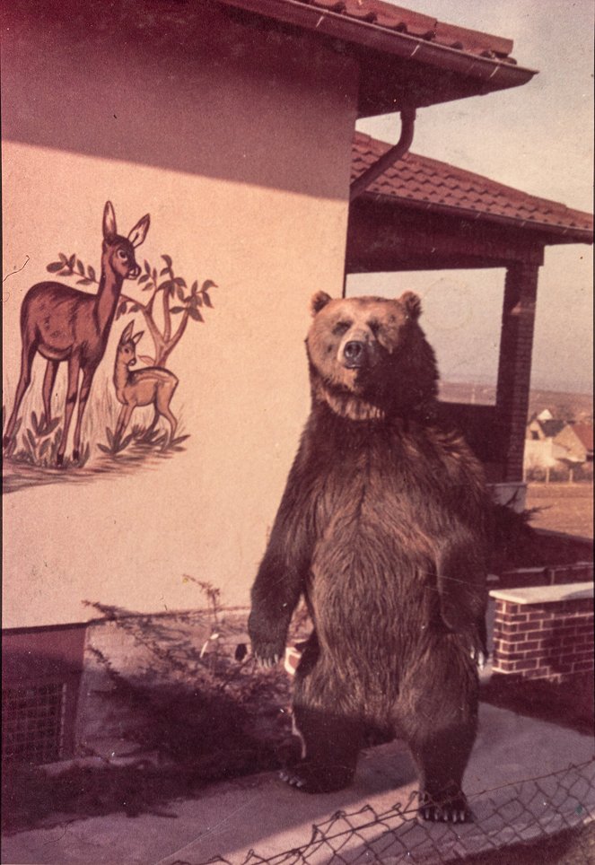 Medveď - Z filmu