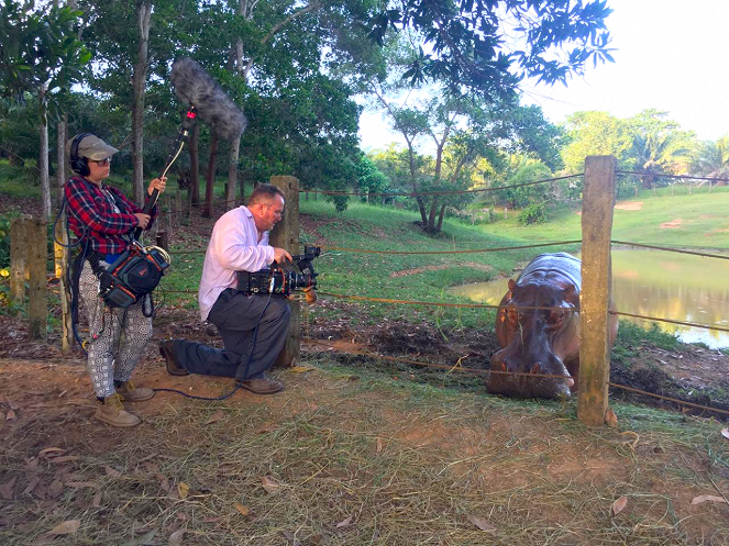 The Hunt for Escobar’s Hippos - Making of