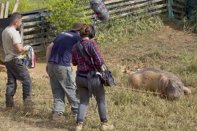 Die Hippos sind los - Pablo Escobars Erbe - Dreharbeiten