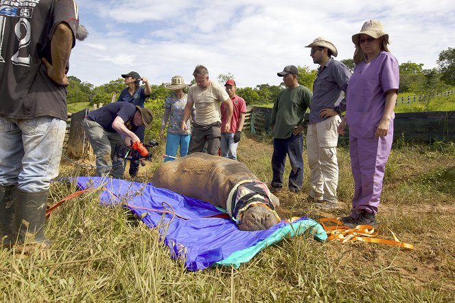 Die Hippos sind los - Pablo Escobars Erbe - Kuvat elokuvasta