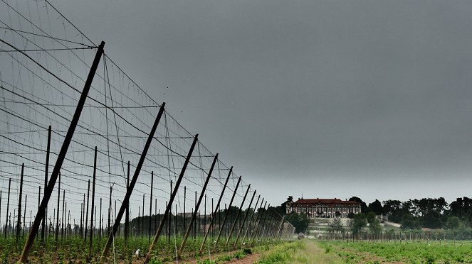 Národní klenoty - Série 2 - Žatec - Zelené zlato - Photos