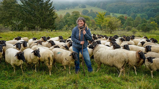 Cuisines des terroirs - Le Massif de la Rhön – Allemagne - Film