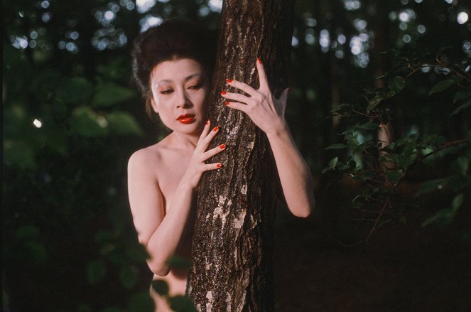 Lady Karuizawa - Film