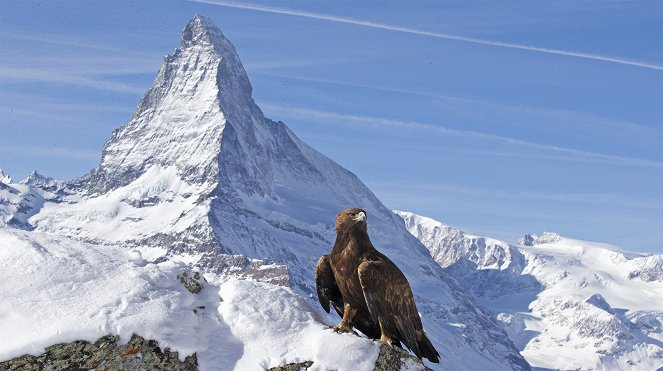Erlebnis Erde: Die Alpen - Van film