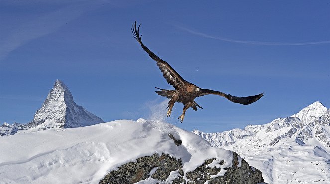 Erlebnis Erde: Die Alpen - Film