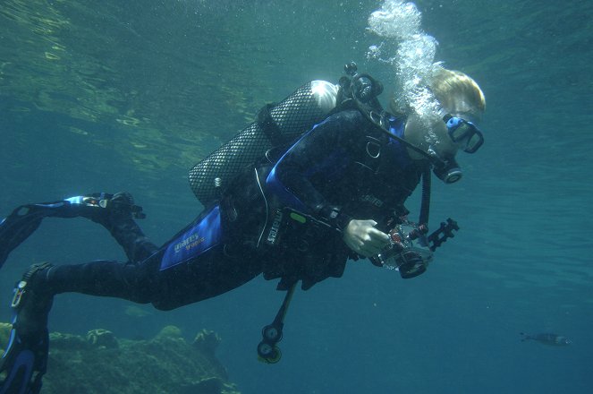 H2O - Plötzlich Meerjungfrau - Dr. Baywatch - Filmfotos