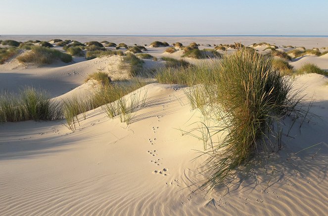 Die Nordfriesischen Inseln - Im Griff der Naturgewalten - Kuvat elokuvasta