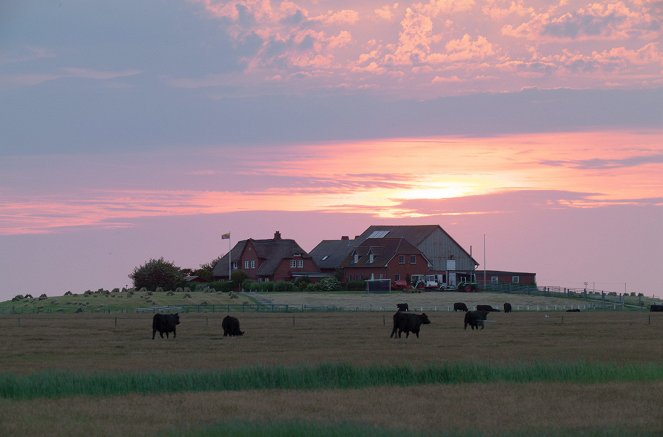 The Frisian Islands - Land in Motion - Photos