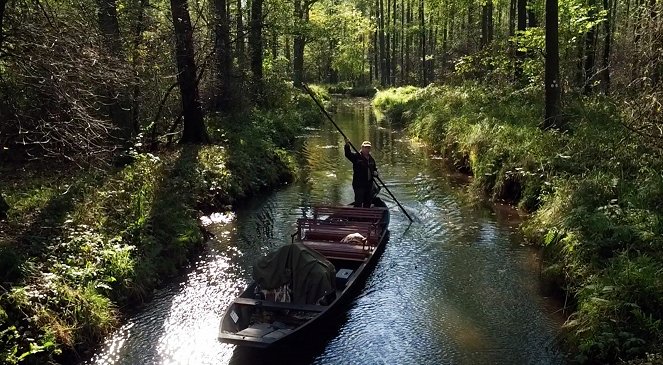 Der Spreewald von oben - Photos