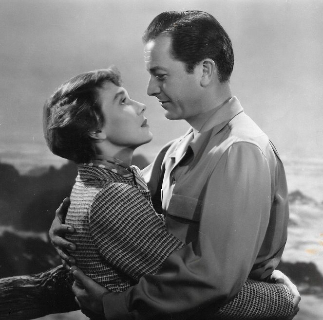 The Second Woman - Filmfotos - Betsy Drake, Robert Young