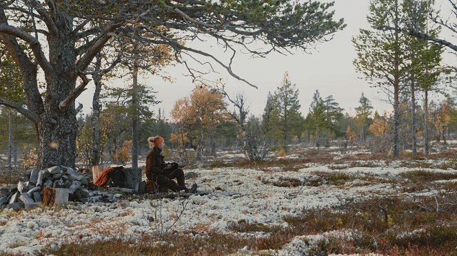 Elgskogen - De la película