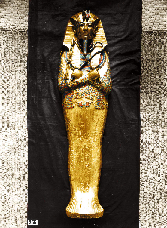 Tutankhamun in Colour - De la película