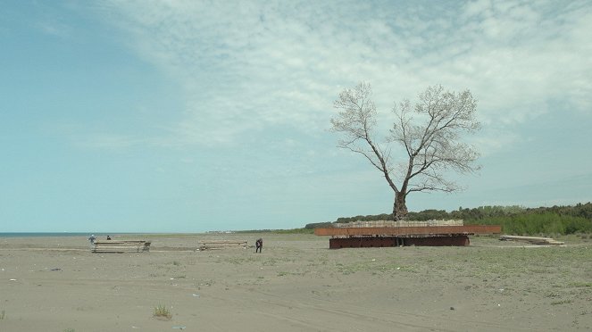 Trees Floating - Die Zähmung des Gartens - Filmfotos