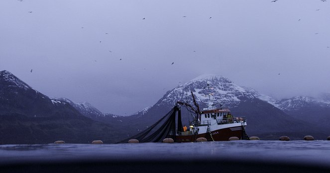 A bálnák titkai - Orka-dinasztia - Filmfotók