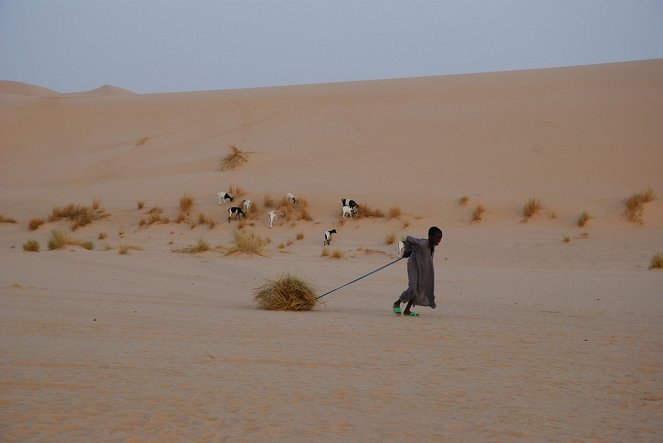 Vents de sable, femmes de roc - De la película