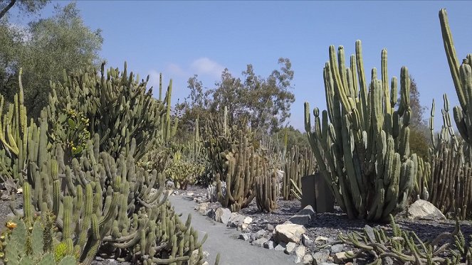 Jardins d'ici et d'ailleurs - Lotusland - Do filme