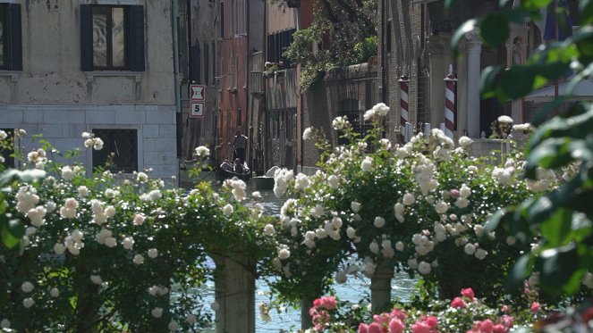 Jardins d'ici et d'ailleurs - Jardins vénitiens - De la película