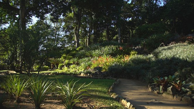 Jardins d'ici et d'ailleurs - Season 4 - Jardin botanique de Rio - Van film