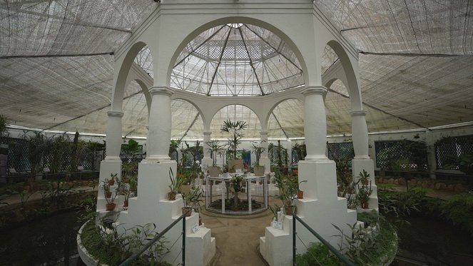 Jardins d'ici et d'ailleurs - Season 4 - Jardin botanique de Rio - De filmes