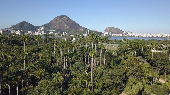 Jardins d'ici et d'ailleurs - Jardin botanique de Rio - Film