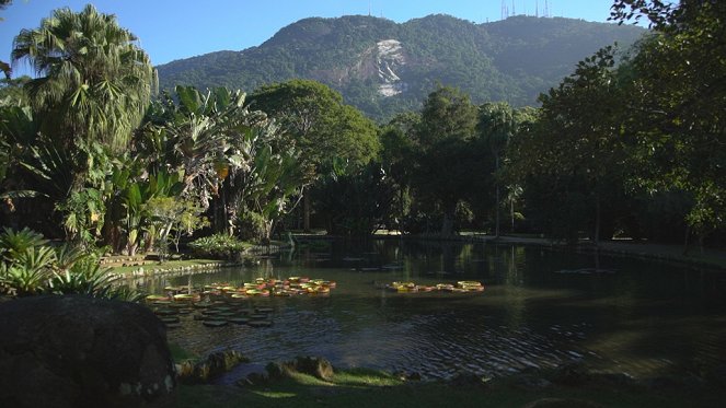 Magische Gärten - Botanischer Garten von Rio - Filmfotos