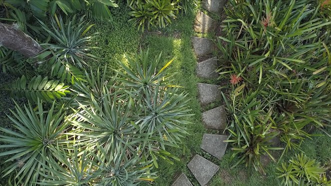 Amazing Gardens - Sitio Burle-Marx - Photos