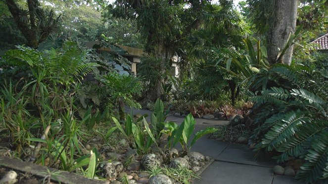 Jardins d'ici et d'ailleurs - Sitio Burle-Marx - Van film