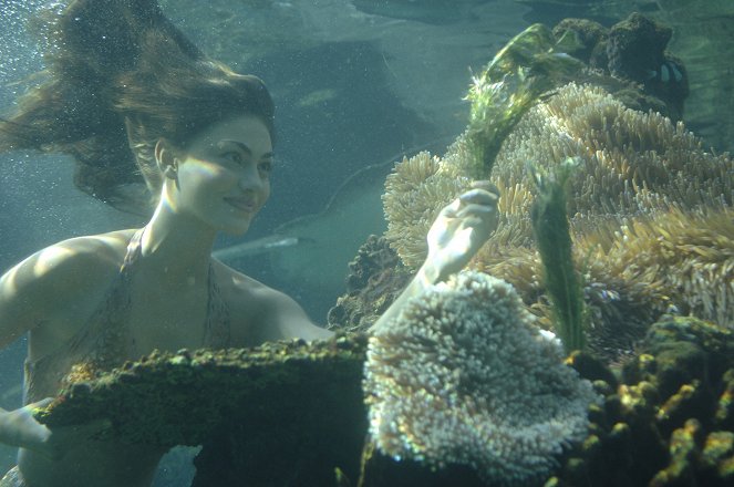 H2O: Sirenas del mar - Abracadabra - De la película