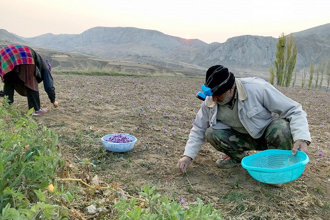 Cuisines des terroirs - Season 18 - L'Iran - Film