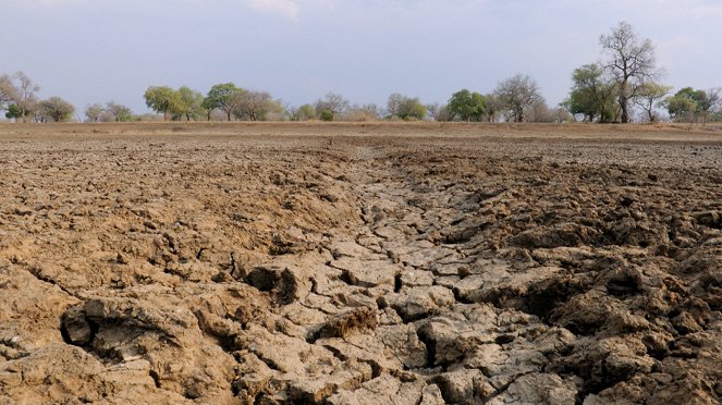 Die Gesichter der Savanne - Monate der Dürre - Photos