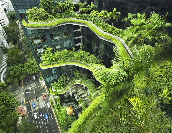 Die Stadt in der Zukunft - Singapur - Photos