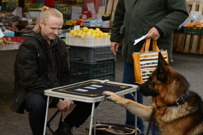 Alex felügyelő - Sejf - Filmfotók - Łukasz Gosławski