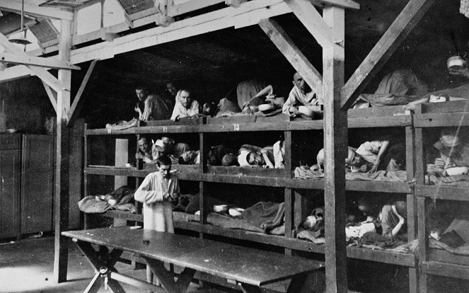 Krieg und Holocaust - Der deutsche Abgrund - Untergang 1943–1945 - Van film